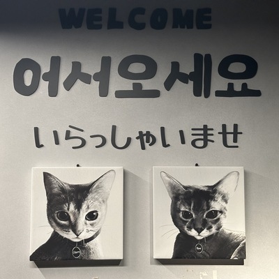 store_image_3