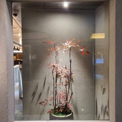 store_image_6