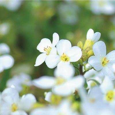 store_image_8