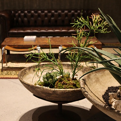 store_image_3