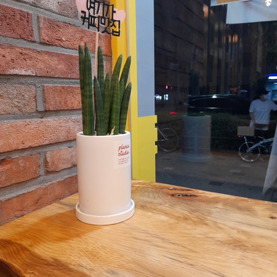 store_image_7