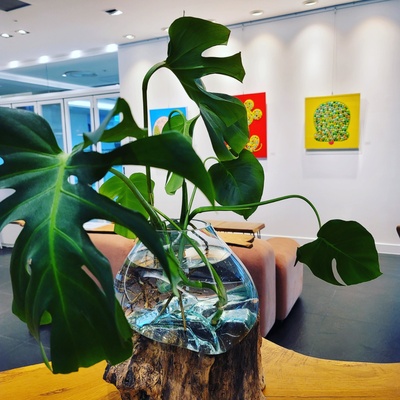 store_image_8
