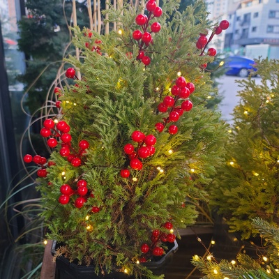 store_image_1