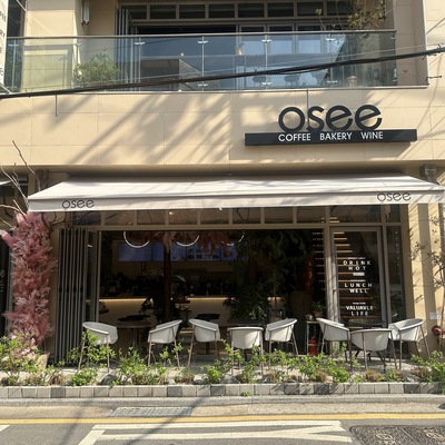 Osse_image