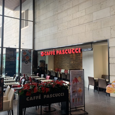Pascucci - D-Cube Art Center_image