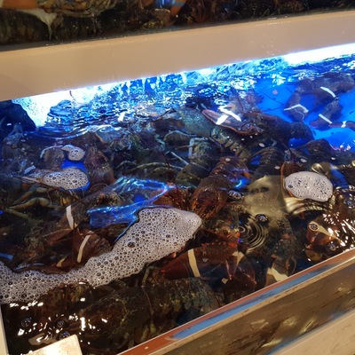 store_image_5