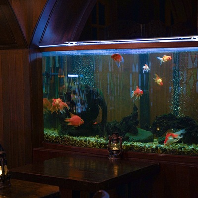 store_image_1