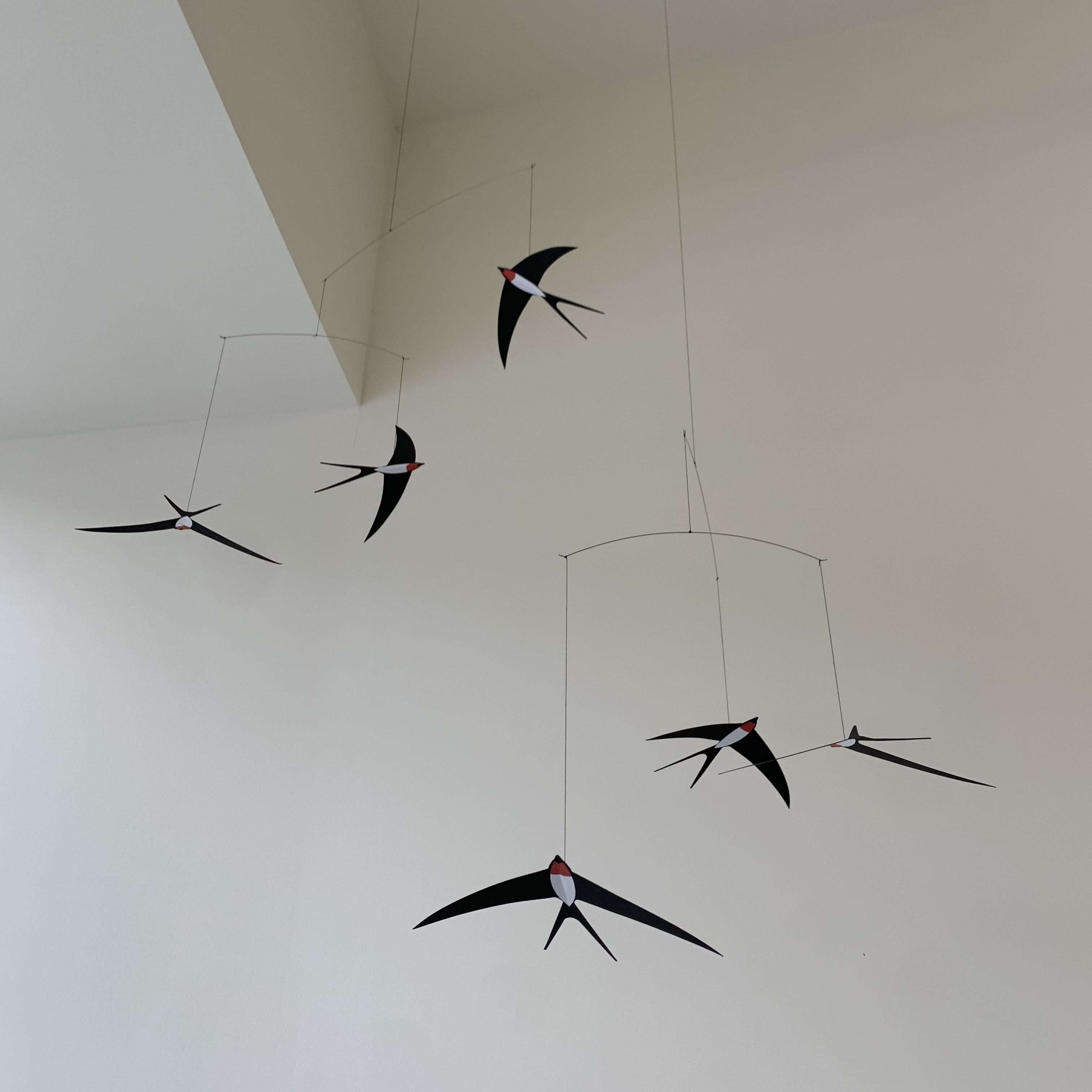 store_image_5