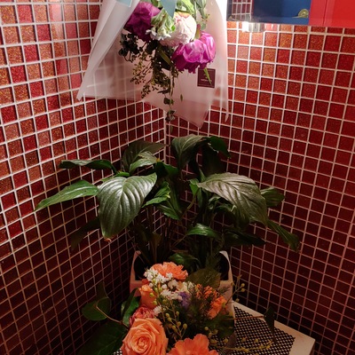 store_image_2