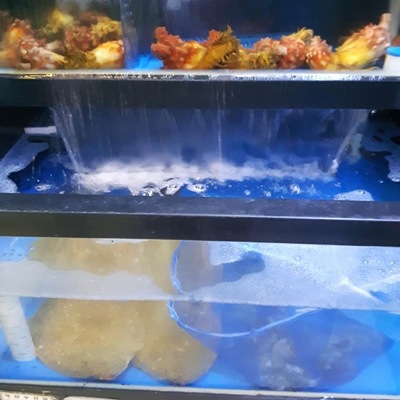 store_image_8