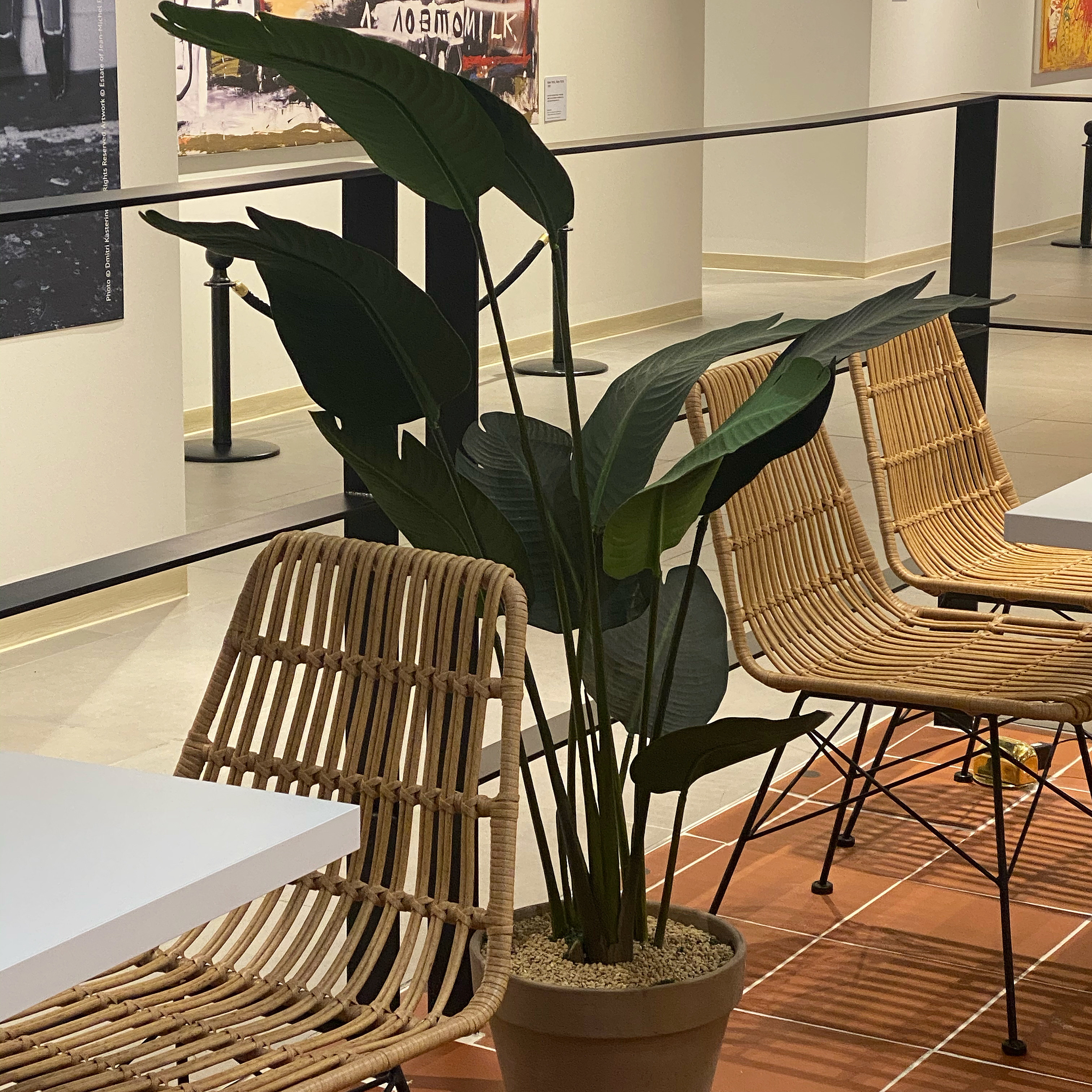 store_image_2