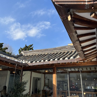 Coffee Shop The Turtle_image