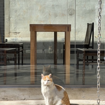 store_image_10