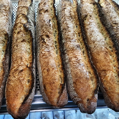 Bread Duck_image