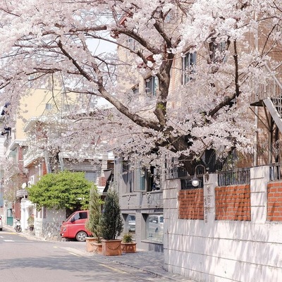 store_image_2