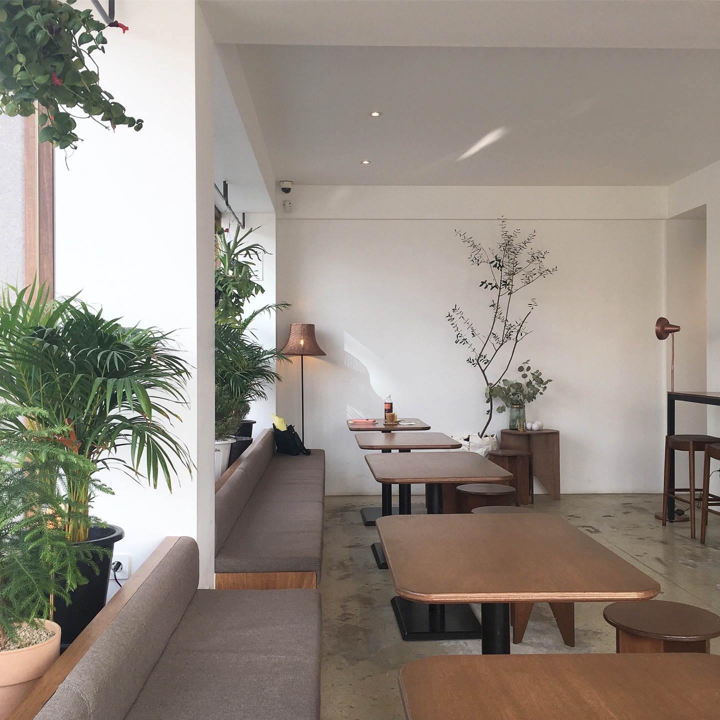 store_image_2
