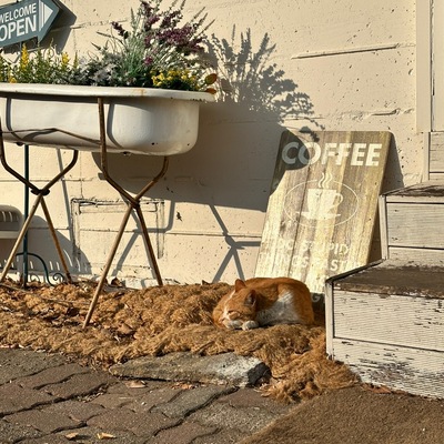 store_image_6