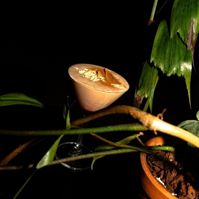 store_image_8