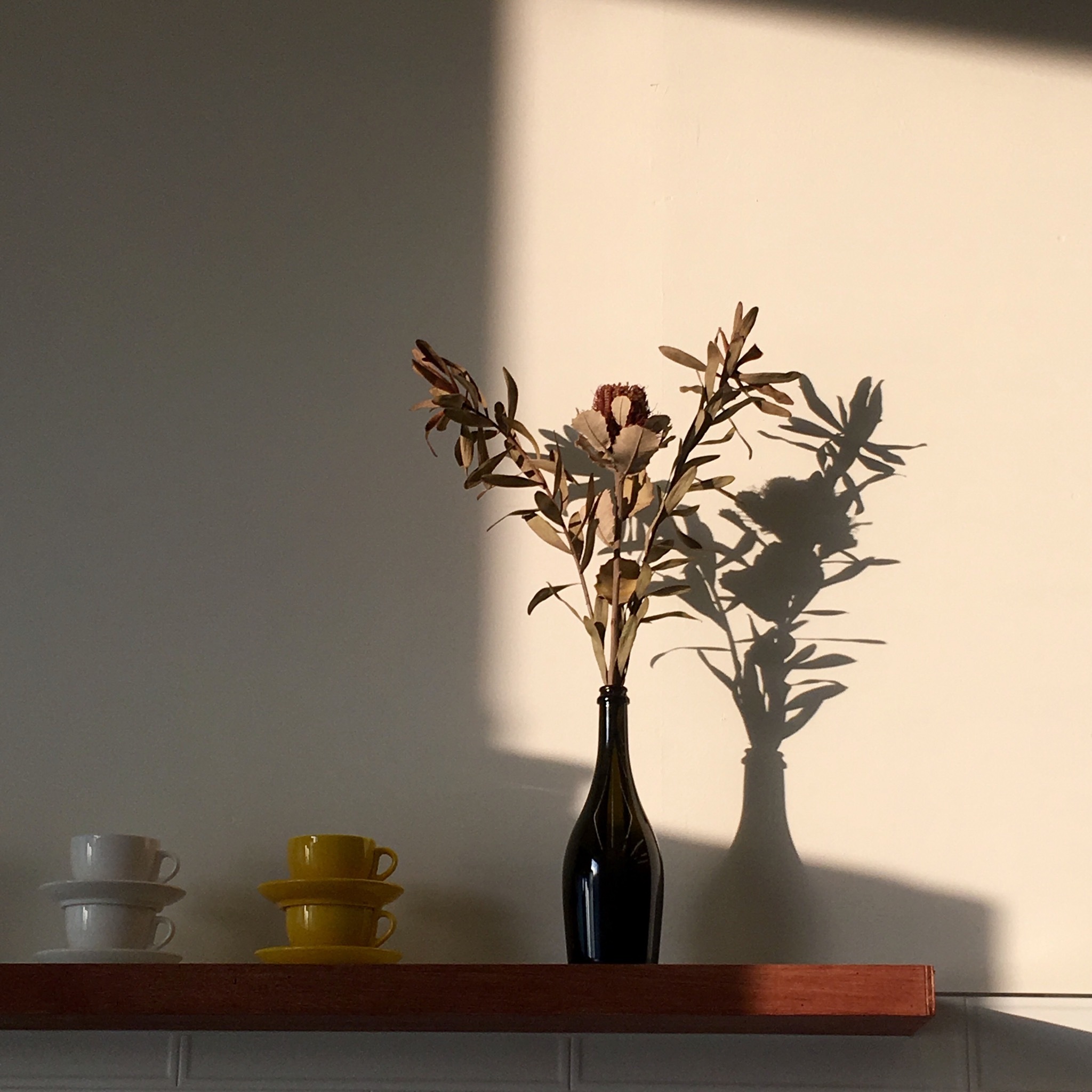 store_image_10