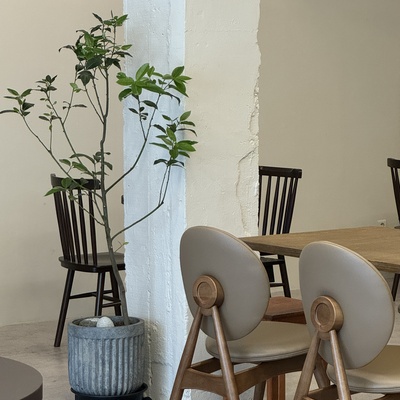 store_image_7