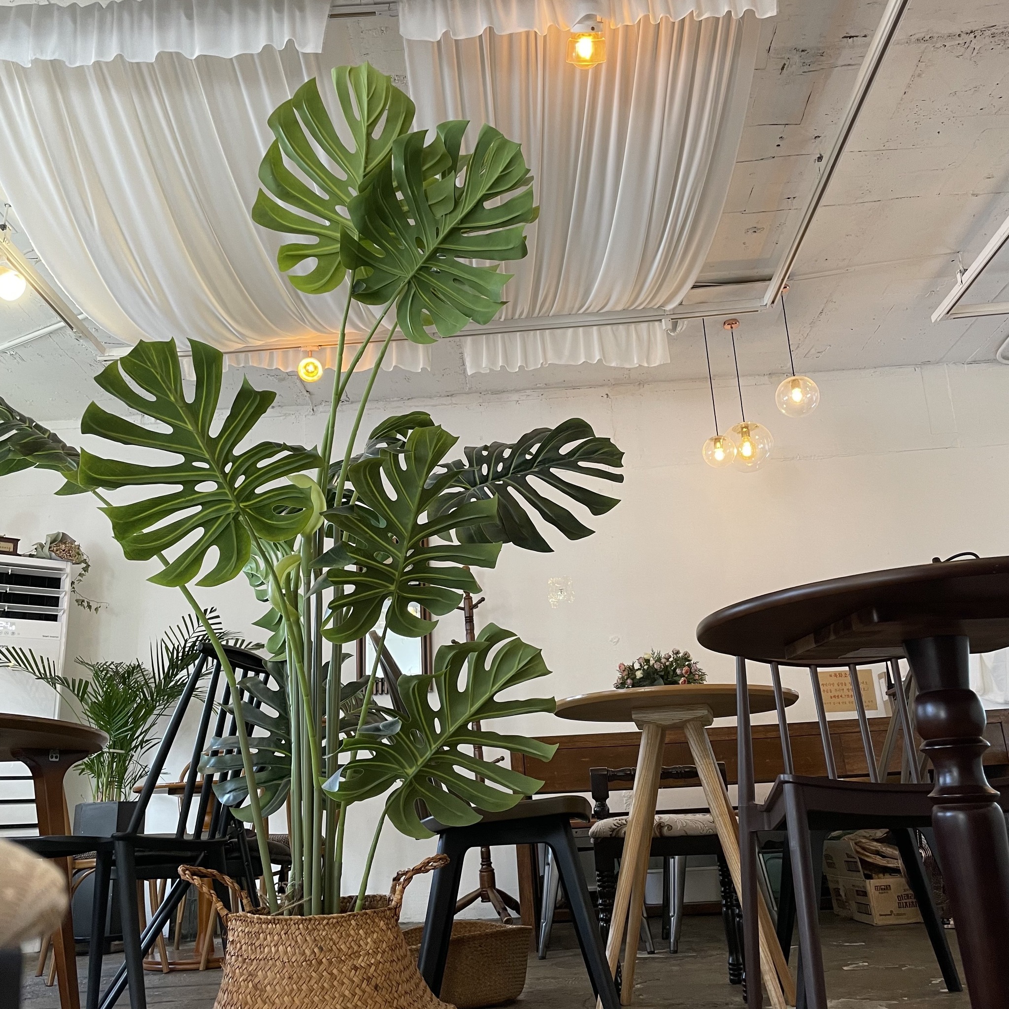 store_image_5