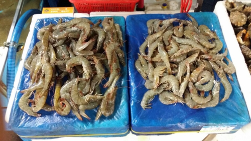 store_image_9