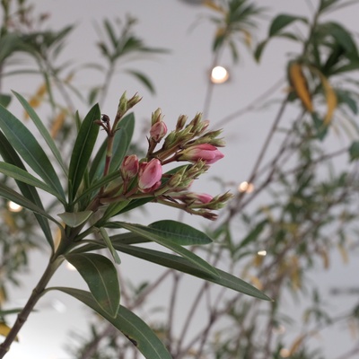 store_image_5