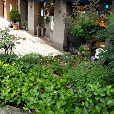 store_image_2