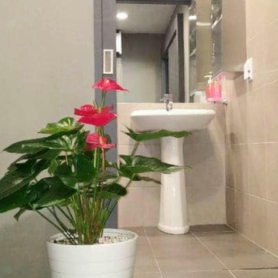 store_image_6