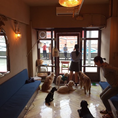 store_image_4