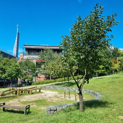 store_image_2