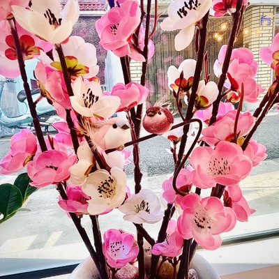 store_image_3