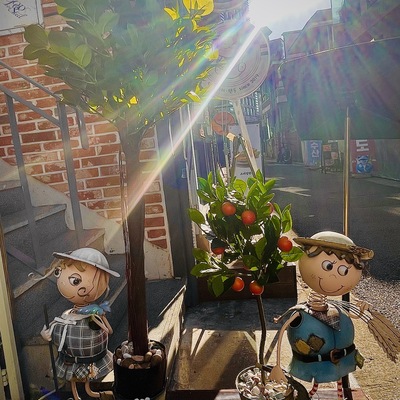 store_image_10