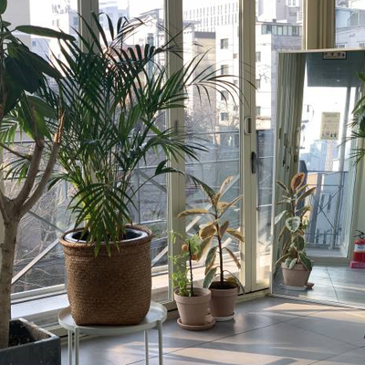 store_image_2