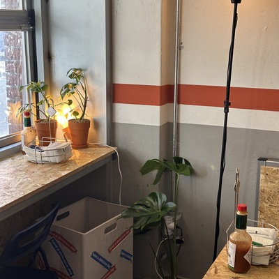 store_image_6
