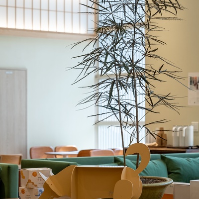 store_image_2