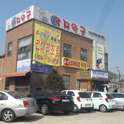 Nakji Wanggung - Main_image