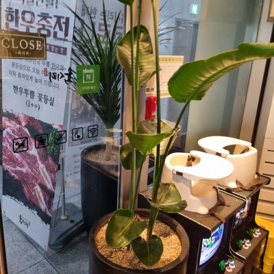 store_image_10