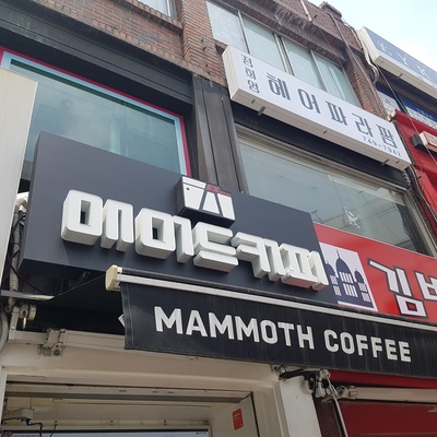 Mammoth Express - Chung-Ang University_image