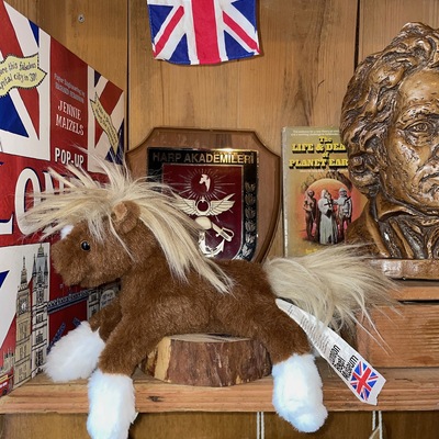 store_image_4