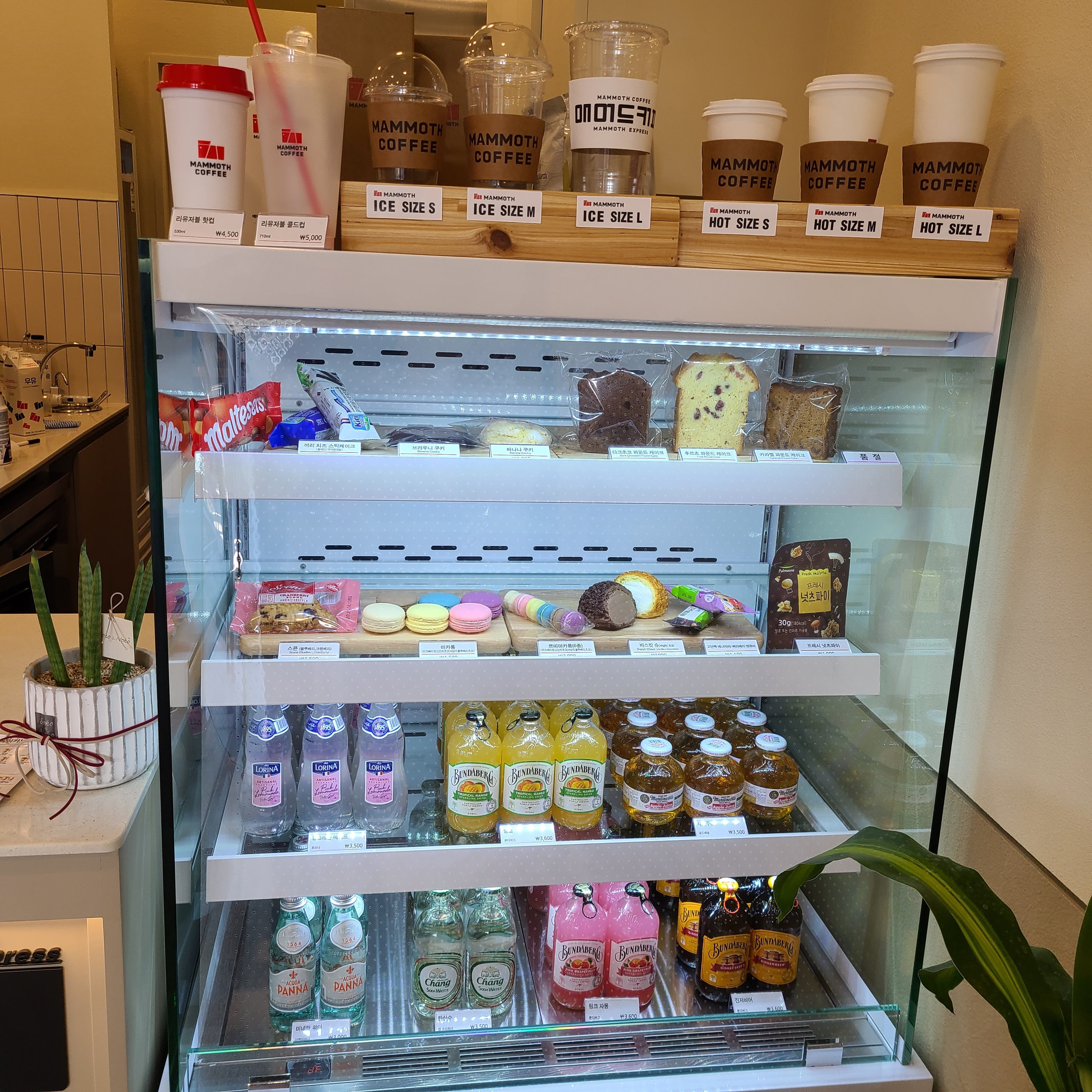 store_image_5