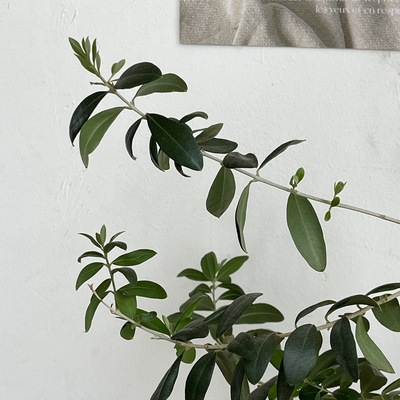 store_image_4