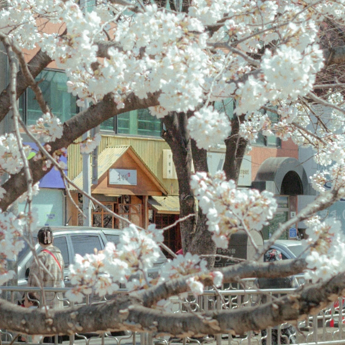 Hong Pat Jip - Ogeum_image