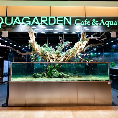 store_image_3