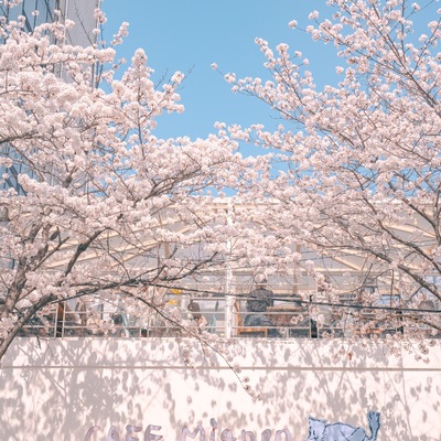 store_image_5
