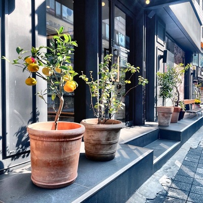 store_image_2