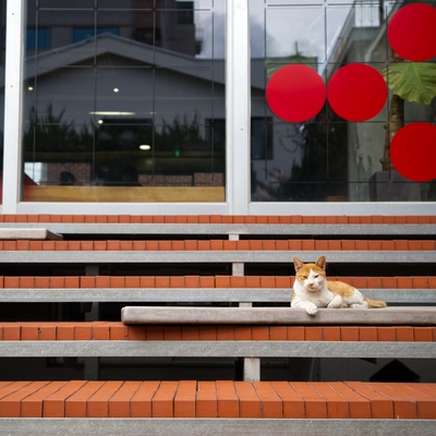 store_image_2